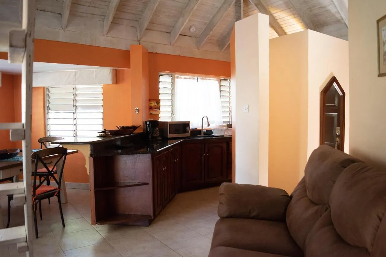Vickitini Beachfront Resort ネグリル