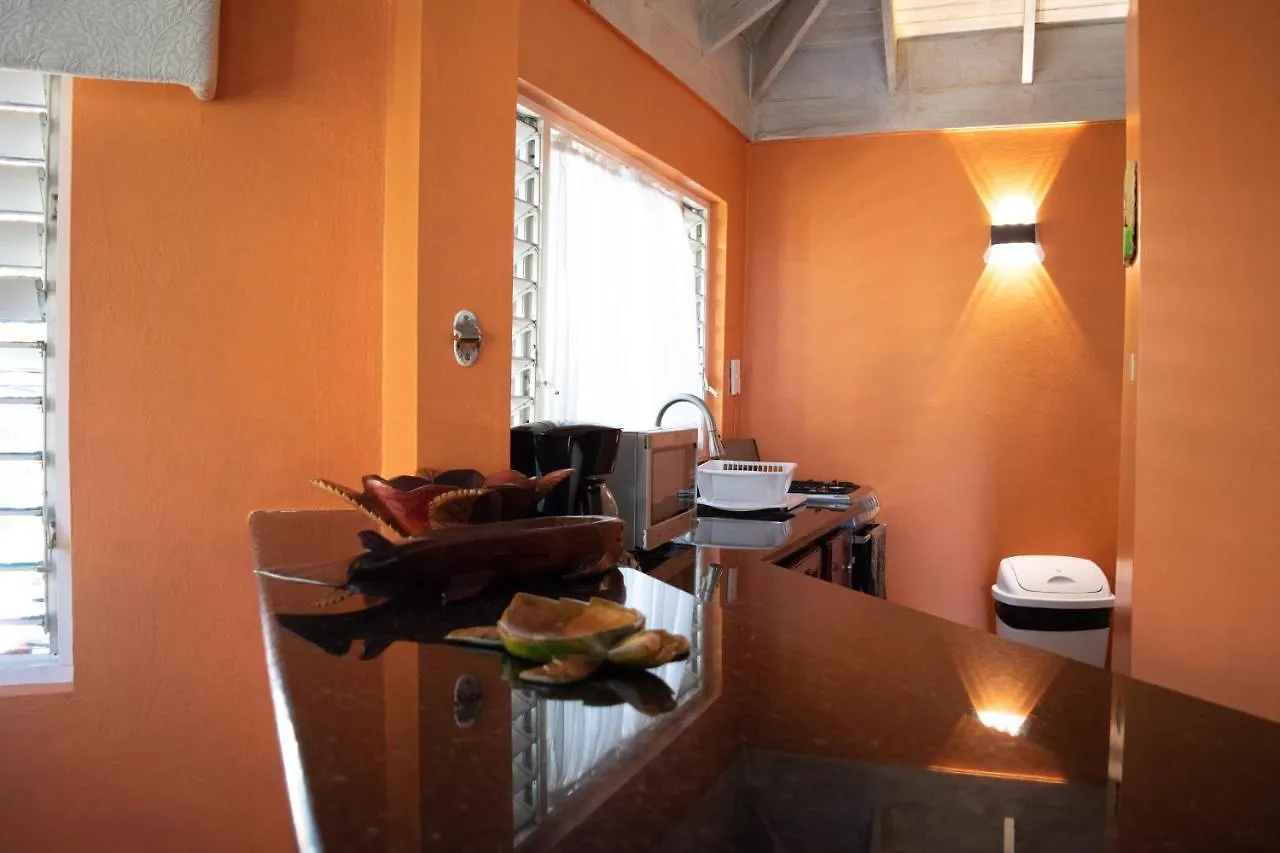 Vickitini Beachfront Resort ネグリル 0*,  ジャマイカ