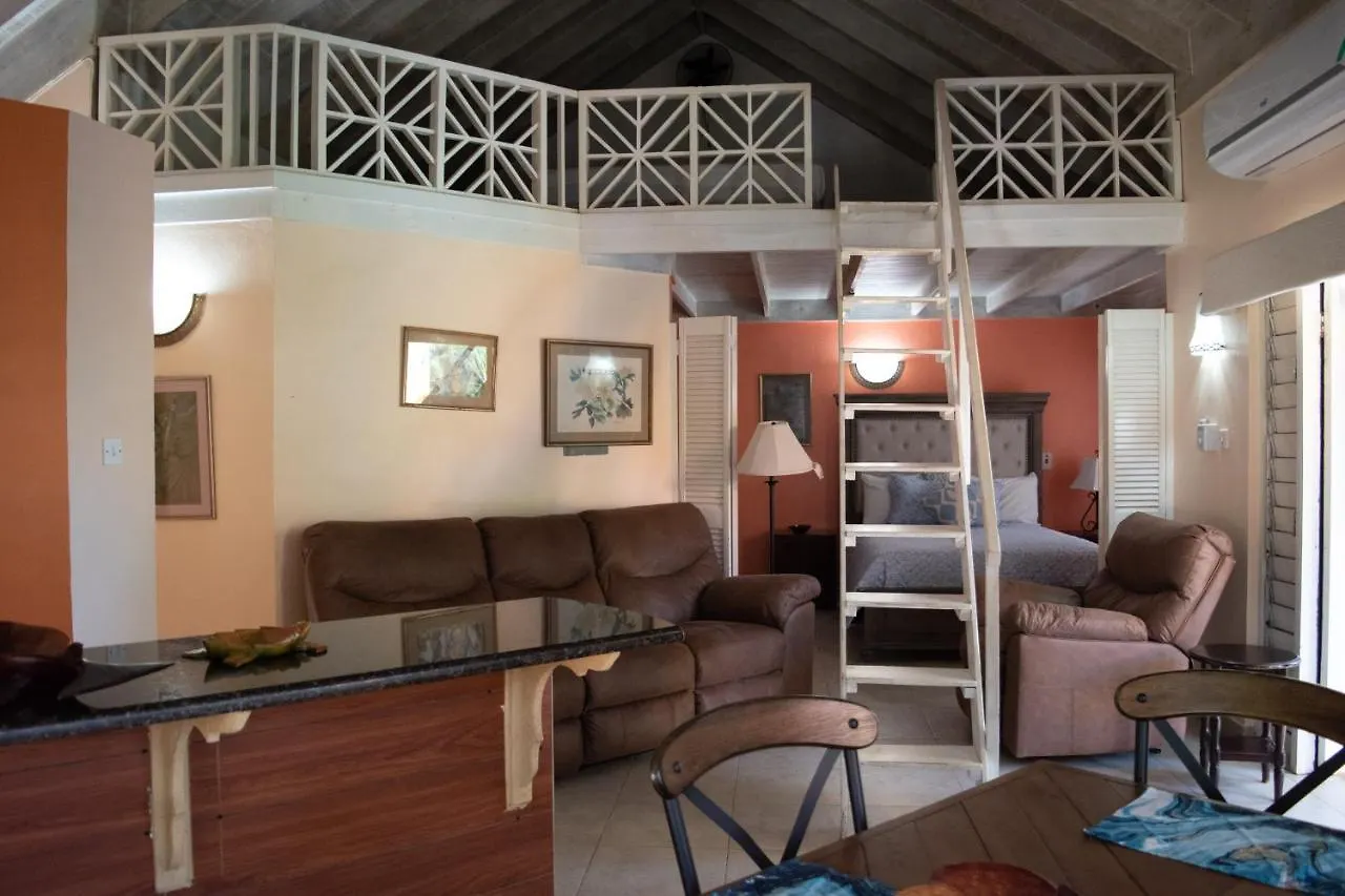 Vickitini Beachfront Resort ネグリル 0*,